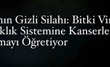 Bir Bitki Virüsü Kansere Karşı “Keskin Nişancı” Olabilir mi?