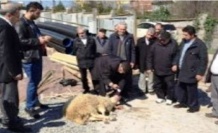 Kemaliye Aşağıumutlu Köyü Kültür Merkezi'nin temeli dualarla atıldı