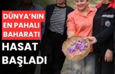 Dünyanın en pahalı baharatı