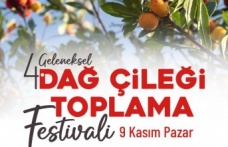 Geleneksel Dağ Çileği Festivali Başlıyor
