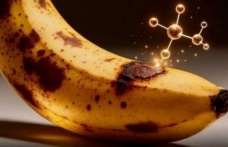 Kahverengi Muzlar Kanserle Mücadelede Umut Olabilir