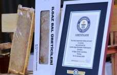 Ilgaz Balı Guinness Rekoru Kırdı: Dünyanın En Pahalı Balı