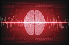 Ölüm anında beyin aktivitesi ilk kez görüntülendi: