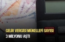 Türkiye’de Vergi Mükellefi Sayısı Rekor Kırdı