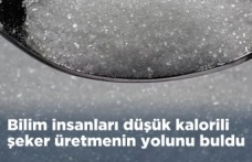 Yeni Araştırma: Doğal Şeker Tagatoz ile Daha Az Kalori, Aynı Tatlılık