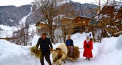 Artvin Kış Manzaraları 2016