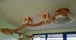 Kedi Evleri