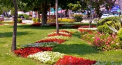 Maltepe Çiçek Açtı 2015