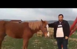 Castle Nolana Butik Otel Ağva Serkan Şimşek At ve Doğa 2019