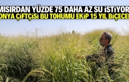 Konya Ovası’nda Su Kıtlığına Çözüm Olabilecek Yeni Yem Bitkisi