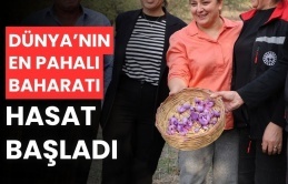 Dünyanın en pahalı baharatı