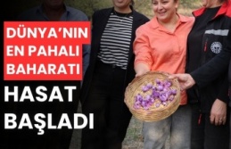 Dünyanın en pahalı baharatı