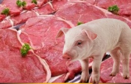 Türkiye’de Domuz Eti Satışının En Yoğun Olduğu...