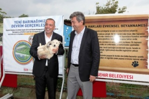 Ataşehir Sokak Hayvanlarına Sahip Çıkıyor