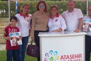 Hayvanseverler Ataşehir Kamelya Parkta Buluştu