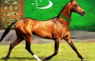 Akhal - Teke Atları, Tarihçesi ve Özellikleri