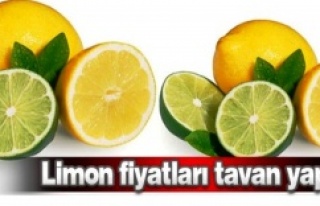 Limon fiyatı tavan yaptı