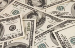 Dolar/TL 3.35'i görebilir`