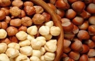 Fındık Yüzleri güldürüyor