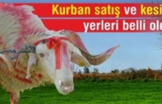 İstanbul'da kurban satış ve kesim yerleri...