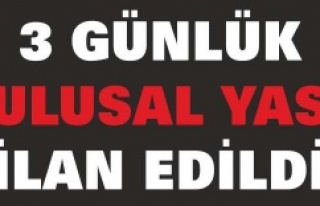 3 günlük ulusal yas ilan edildi