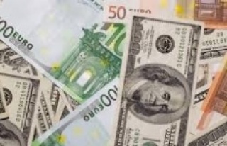 Aylık en yüksek reel getiri Euro’da gerçekleşti