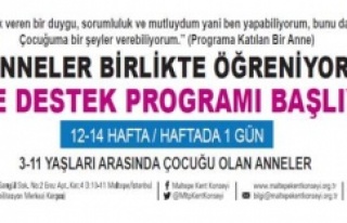 Maltepe'de Anne Destek Projesi