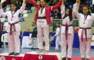 Berranur 2016’ya Altın Madalyayla Başladı