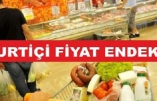 Yurt içi üretici fiyat endeksi aylık %0,55 arttı