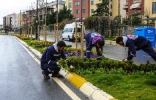 Maltepe'de Parklara bahar geldi