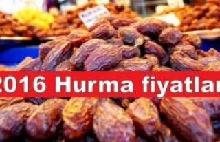 2016 Hurma fiyatları