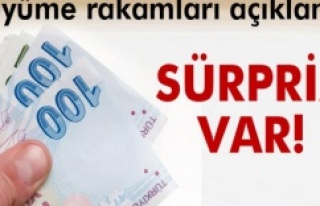 Gayrisafi Yurtiçi Hasıla (GSYH) değeri sabit fiyatlarla...
