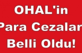 OHAL'in Para Cezaları Belli Oldu!