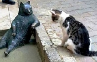 KADIKÖY'ÜN KEDİSİ 'TOMBİLİ' HEYKELİ...