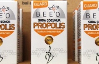 BEE’O SAF ARI ÜRÜNLERİ