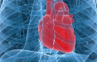 KALP HASTALARI İÇİN CHECK-UP NASIL YAPILMALI?