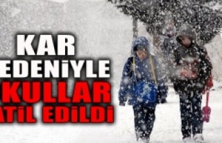 Kar tatili olan il ve ilçeler