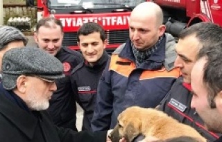 Beykoz'da  “Kuyu” Köpek Kurtarıldı