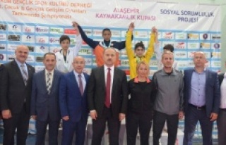 ATAŞEHİR KAYMAKAMLIK KUPASI TAEKWONDO ŞAMPİYONASI...
