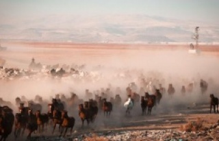 Türk öğrencilere yurtdışından 13 ödül
