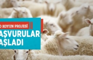 300 koyun projesi'nde başvurular başladı