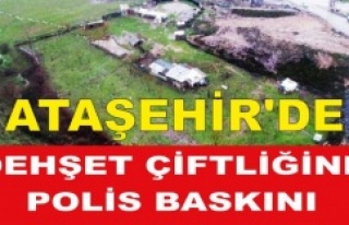 Ataşehir'de Dehşet Çiftliğine polis baskını