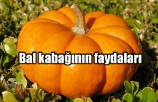 BAL KABAĞI YE GÖZLERİNİ KORU!