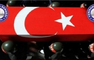MİLLETİMİZİN BAŞI SAĞOLSUN