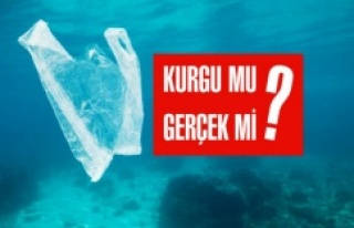 Plastik poşet 11 bin metre derinliğe iner mi?