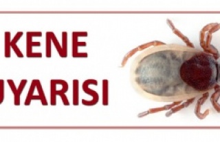 Kene uyarısı: Vaka sayısı dörde katlanabilir