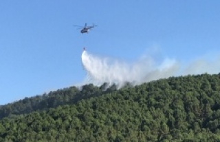 Aydos Ormanı'nda 4 farklı noktada yangın