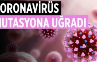 Koronavirüs mutasyona uğradı