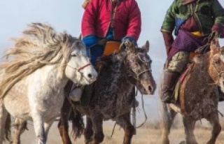 ALTAY ATLARI