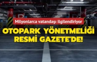 Otopark yönetmeliği Resmi Gazete'de yayımlandı
